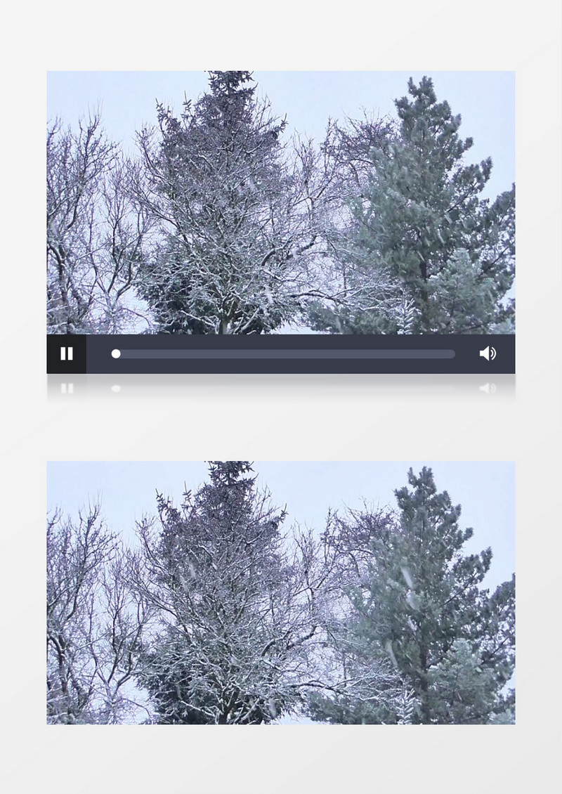弗罗斯特寒冬里森林里大雪纷飞场景高清实拍视频