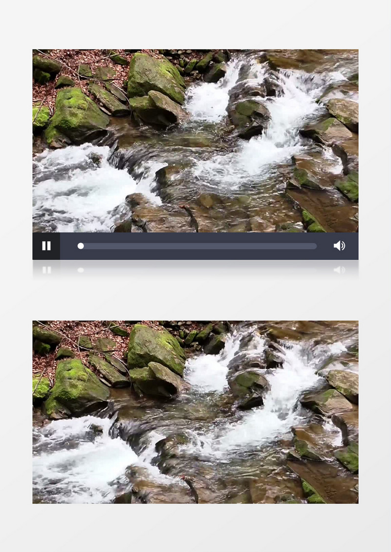 森林溪流流动的水实拍视频素材