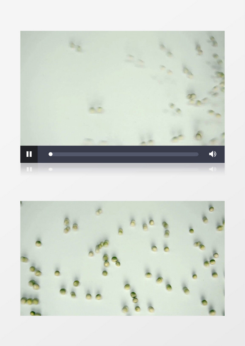 随意快速散落的豌豆MP4视频素材