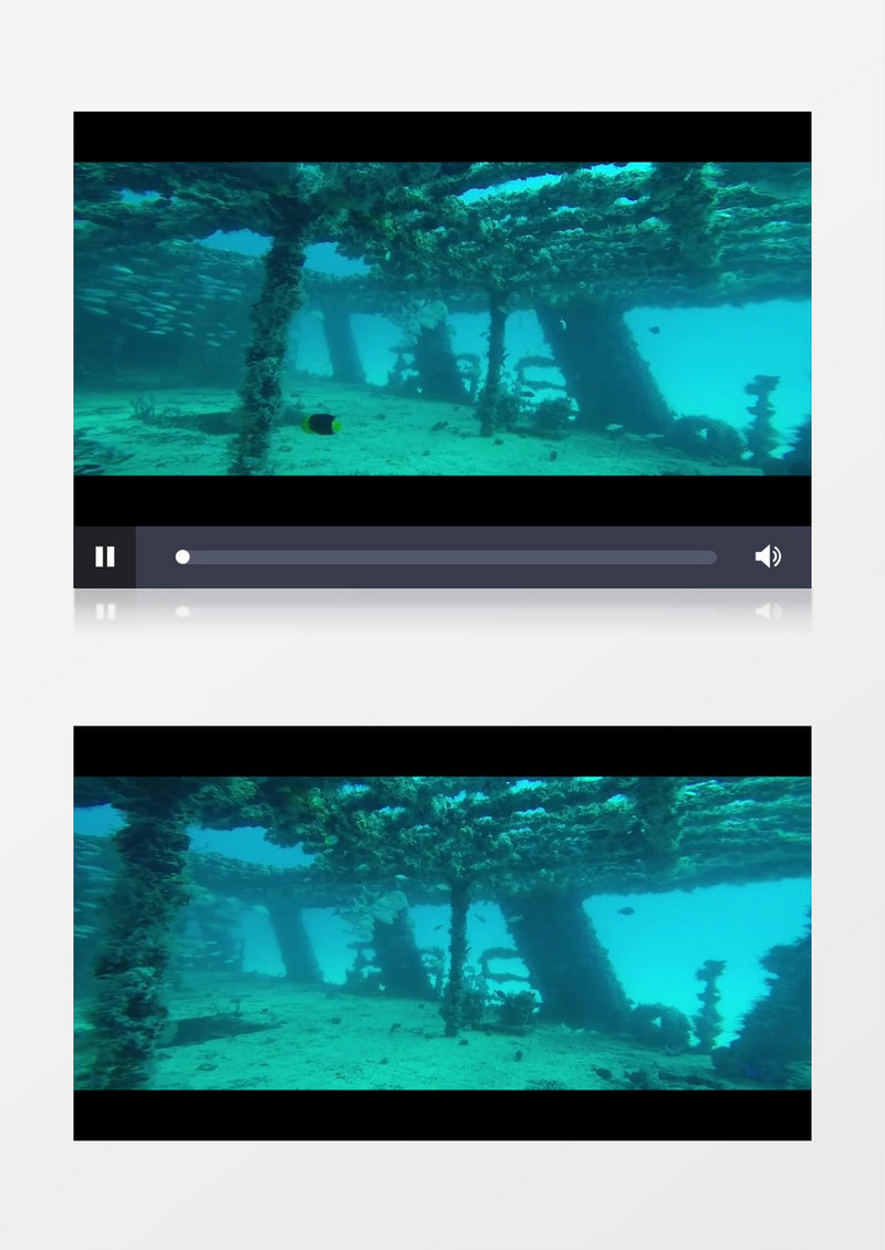 水下拍摄海底鱼群在沉船处游动实拍视频素材