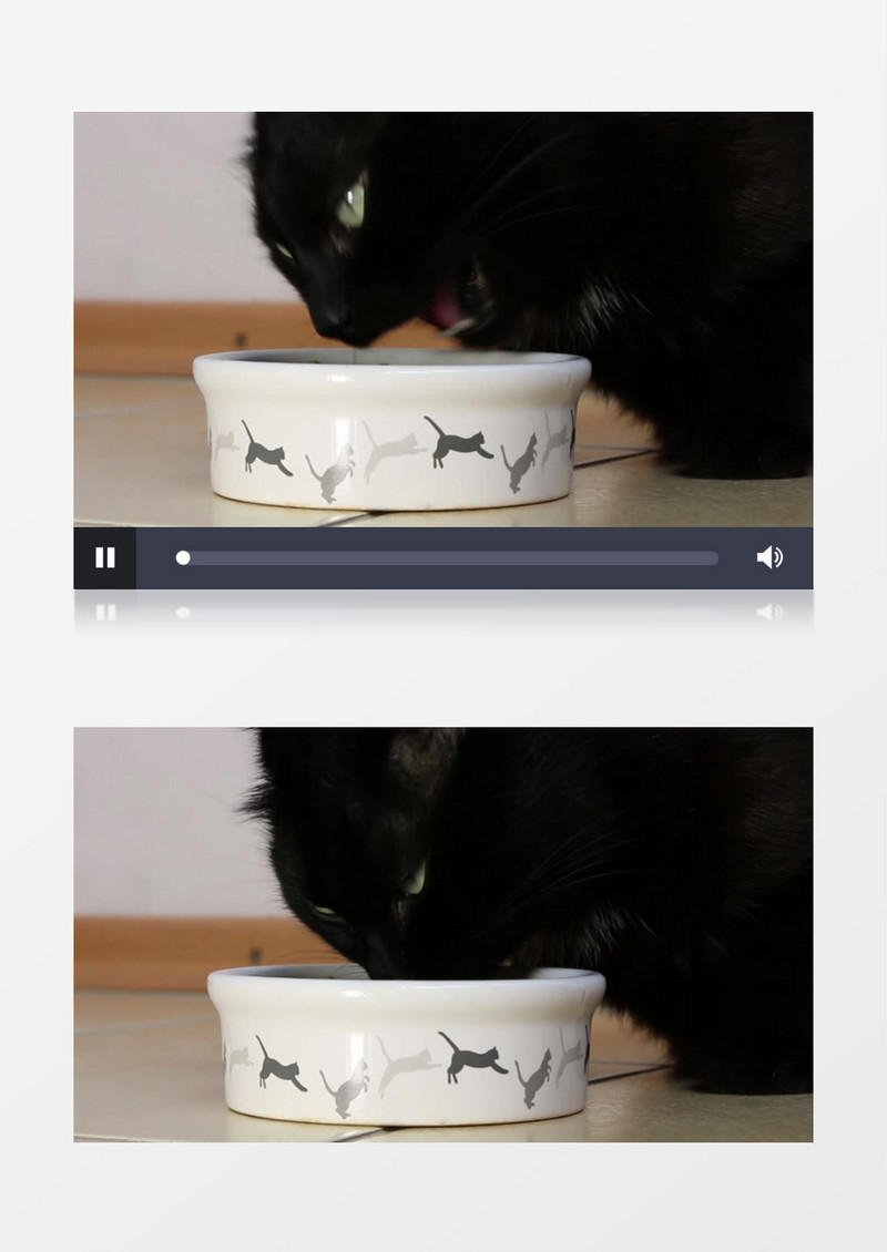 近镜头拍摄一只黑色的猫在猫食盆吃食进食稍有恐怖感实拍视频素材