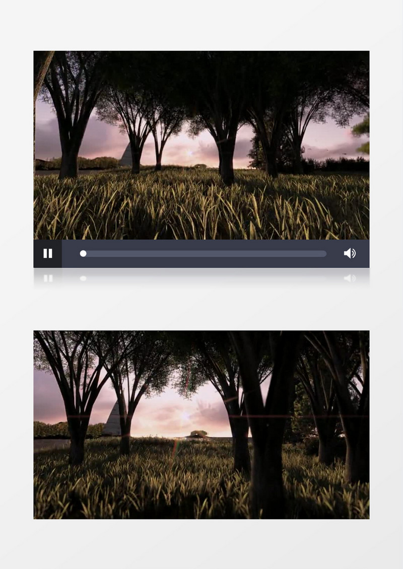 帆船在树林外停靠实拍视频