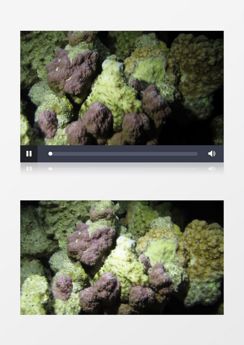 特写拍摄海底石头珊瑚微动实拍视频素材