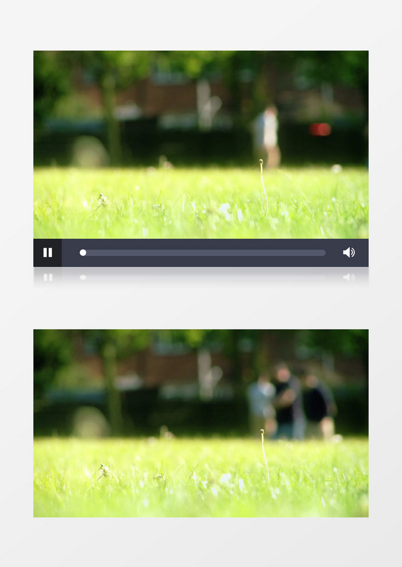 公园男子玩飞盘模糊散景视频素材
