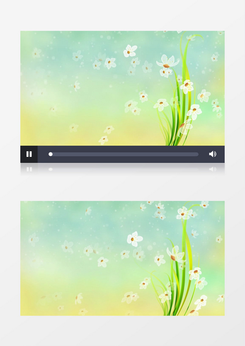 唯美漂亮鲜花从天而降背景视频素材