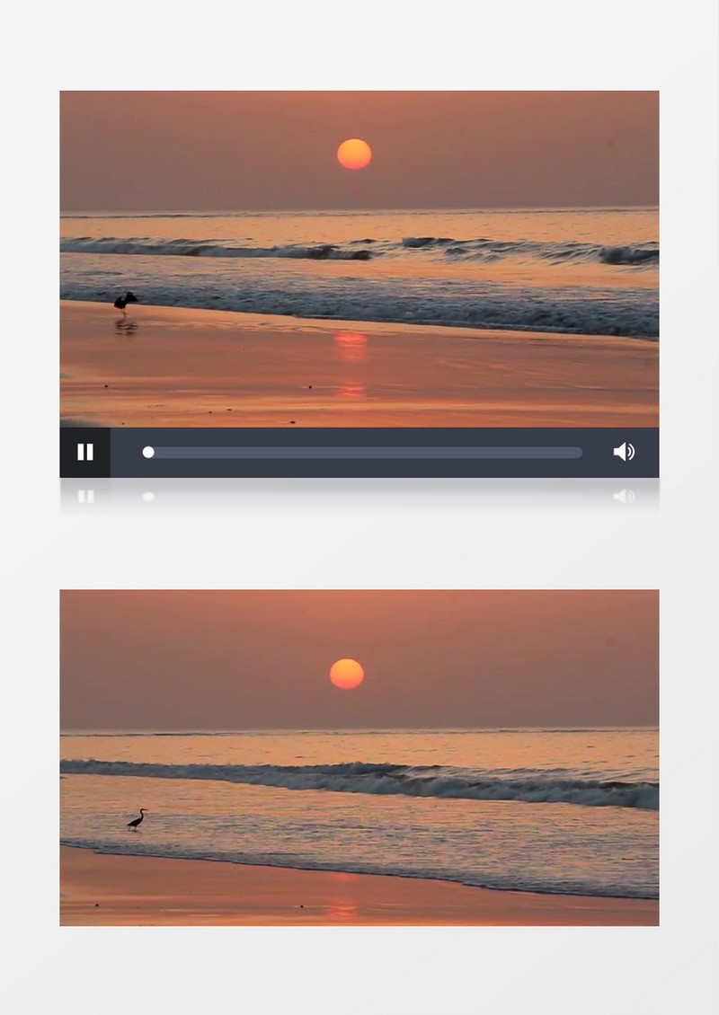 高清实拍在落日映照下的大海在翻滚着浪花一只鹭鸶在沙滩上迎着海浪漫步实拍视频素材