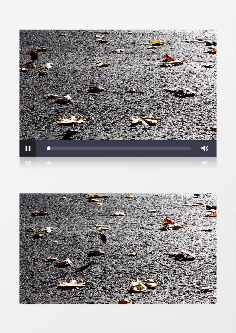 秋天风吹落叶实拍视频MP4