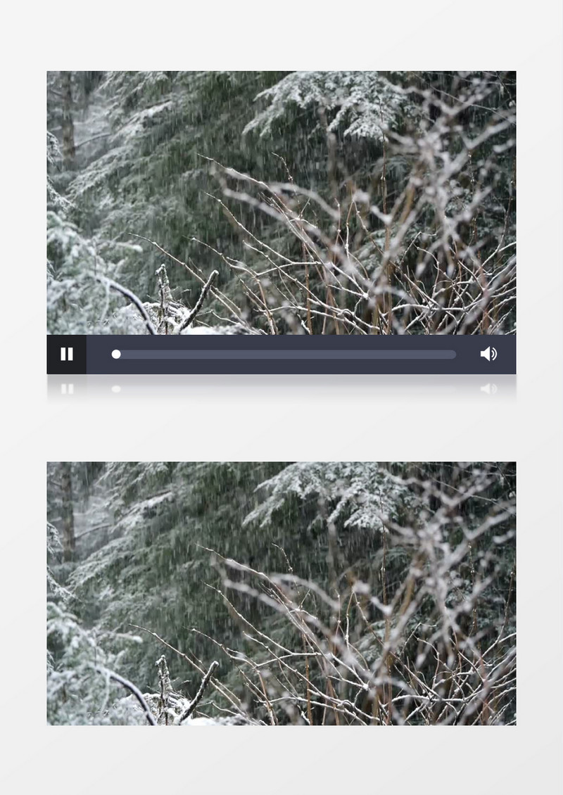 寒冷的冬天雪花飘舞实拍视频