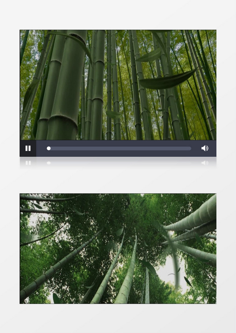 竹林竹叶竹子实拍视频素材MP4