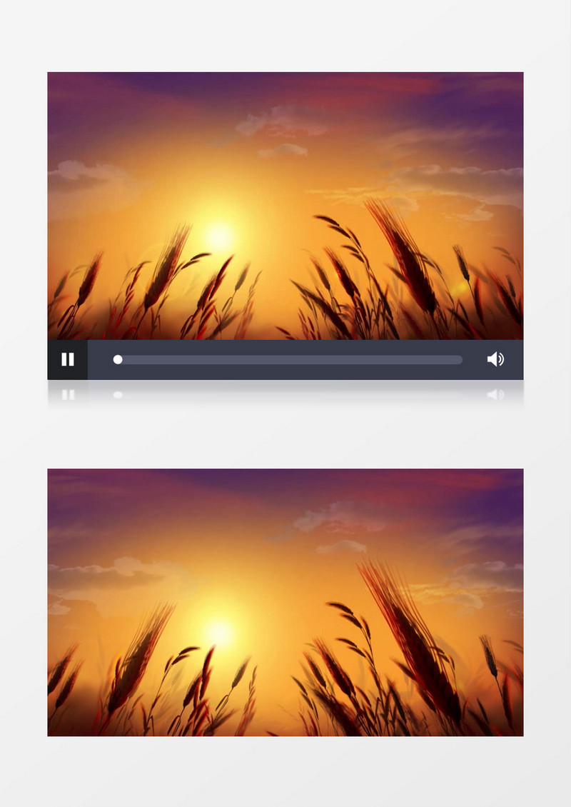 超高清风吹麦浪夕阳唯美背景视频