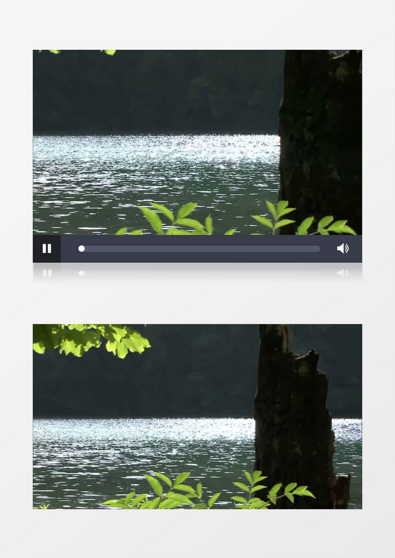 树林旁波澜湖泊高清实拍视频素材