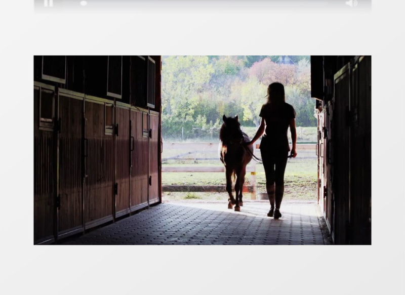 剪影拍摄女人牵着小马走进马厩实拍视频素材
