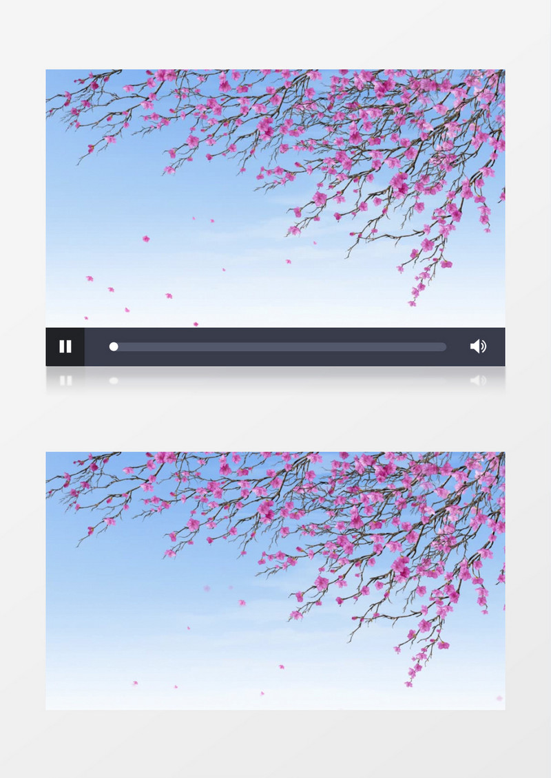 浪漫粉红花瓣飘落背景视频素材