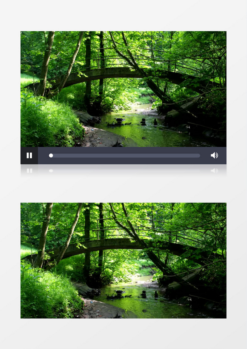 林中小桥流水视频实拍素材