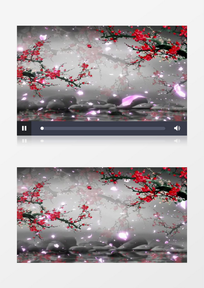 中国风古韵红梅花开视频素材