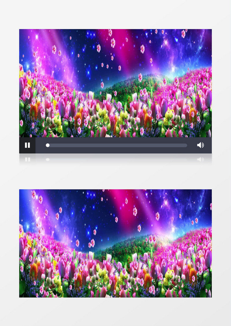 唯美梦境意境花海视频素材