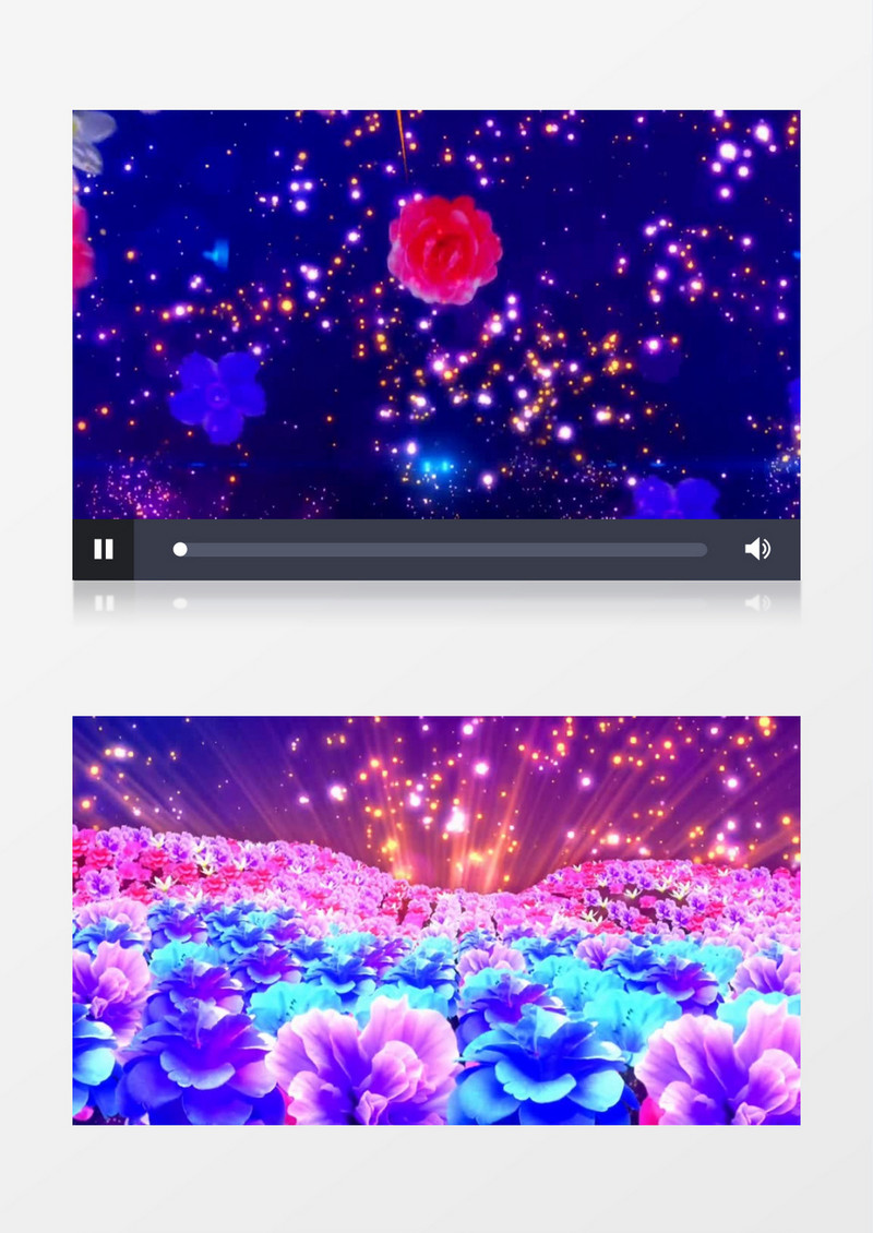 大气震撼花海开场视频素材