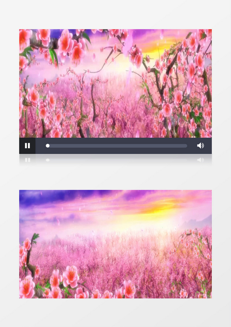 大气唯美桃花林背景视频素材