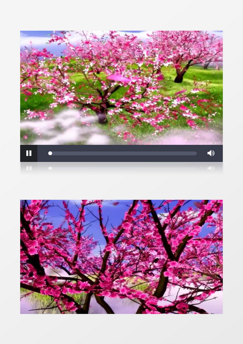 大气浪漫桃花林背景视频素材