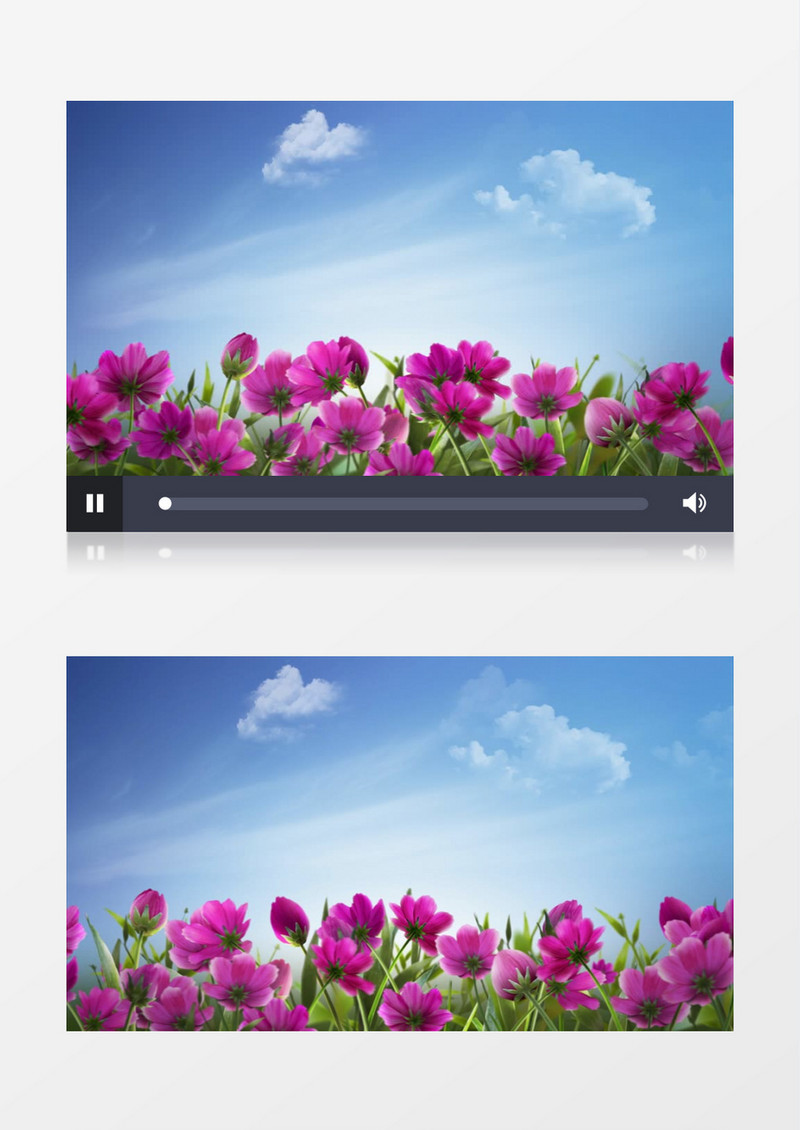 清新蓝天白云花海视频素材