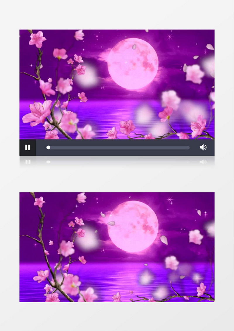 圆月时梅花花瓣飘落情景视频素材