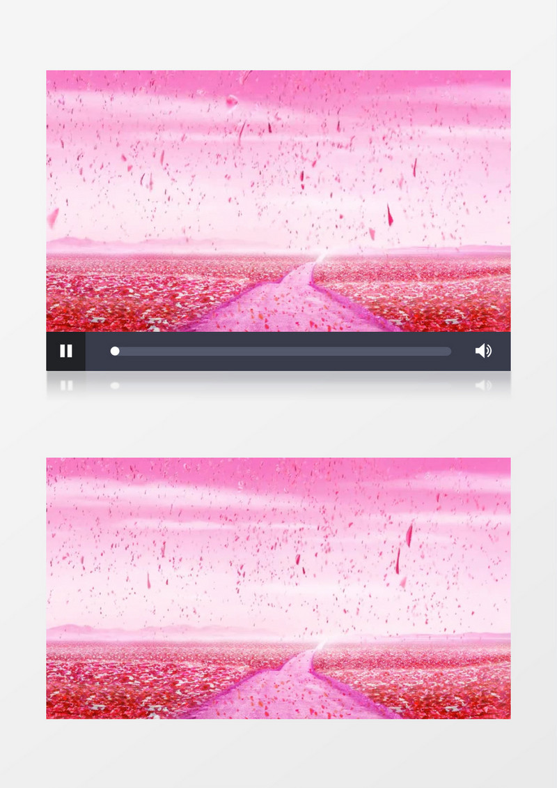 浪漫唯美爱情花海背景视频素材