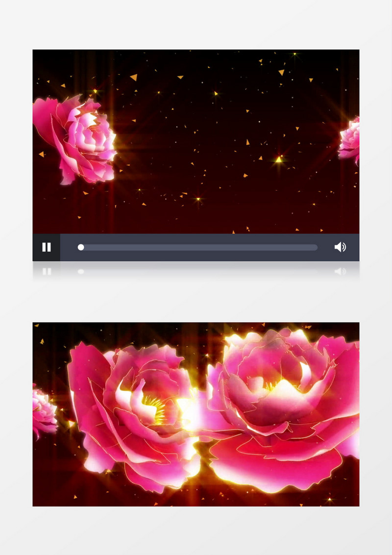 牡丹花开晚会背景视频