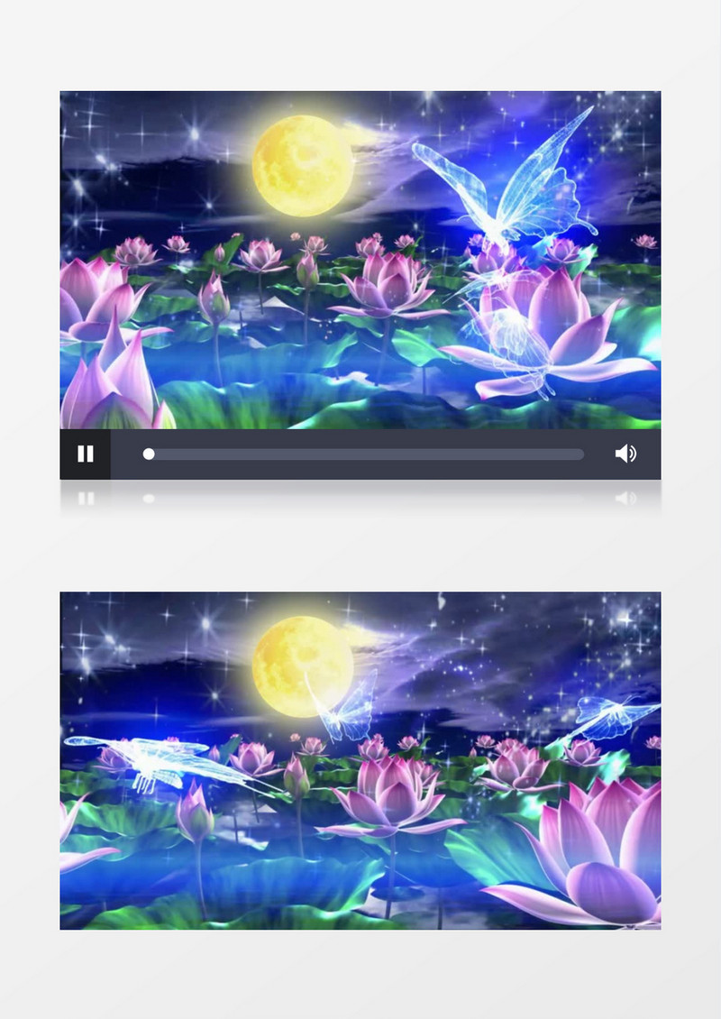  圆月荷花(有音乐)背景视频素材