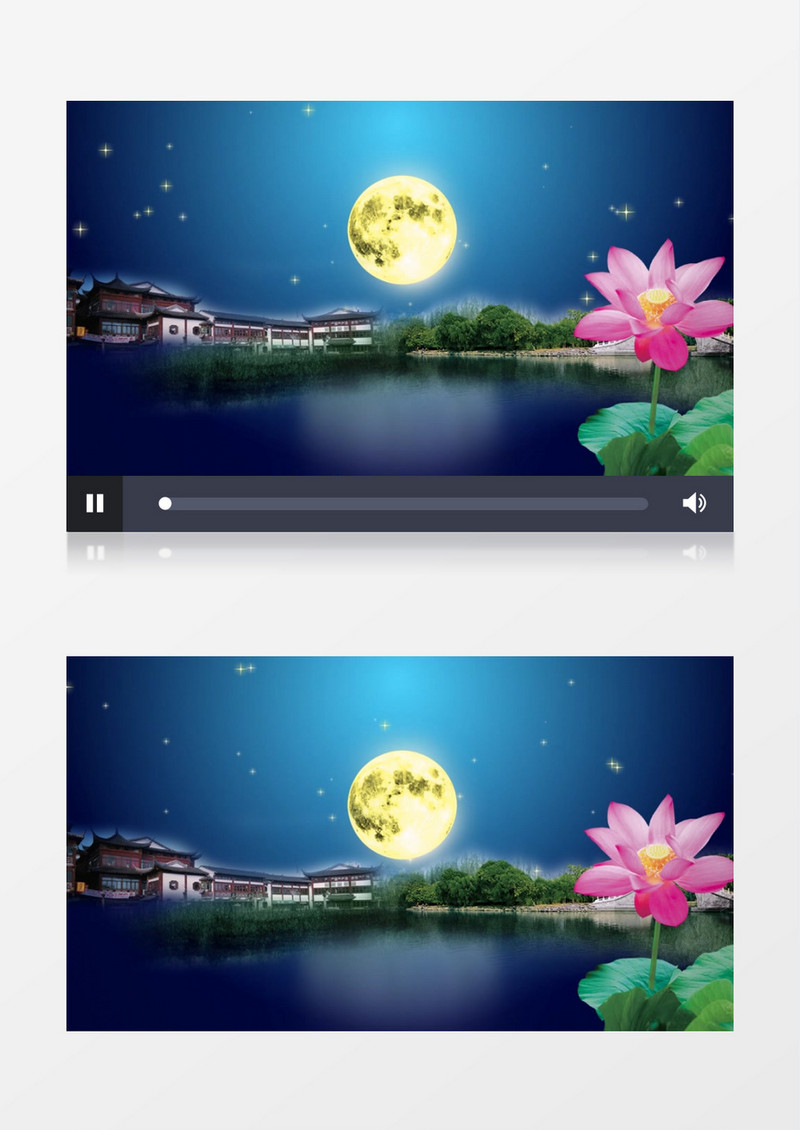 星空圆月荷塘月色背景视频素材