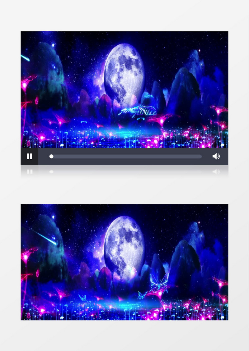 唯美荷塘夜色背景视频素材
