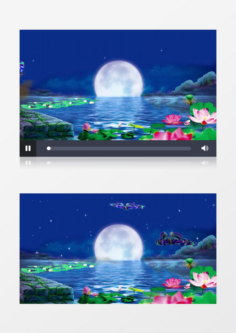 圆月荷塘蝴蝶飞舞背景视频素材