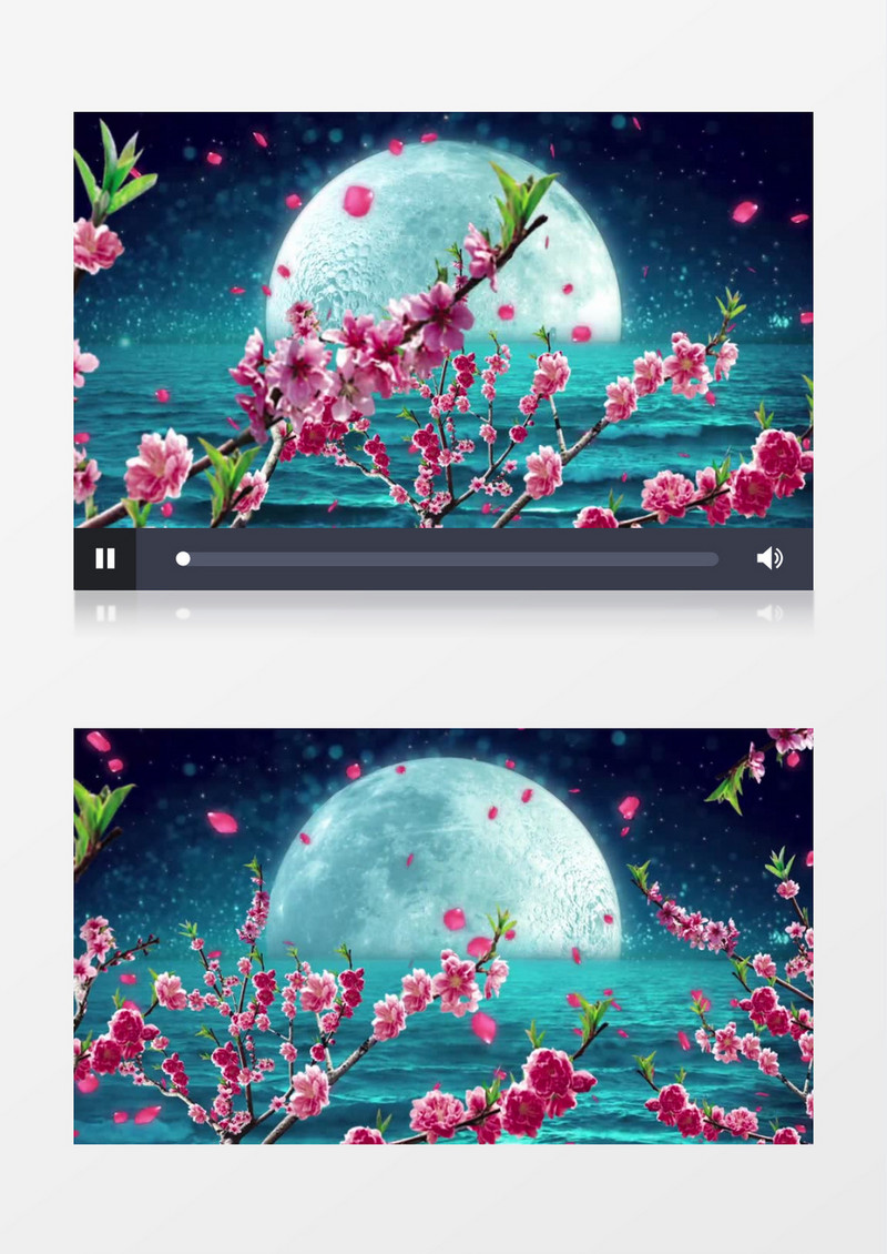 唯美月色星空挑花花瓣流星(有音乐)背景视频