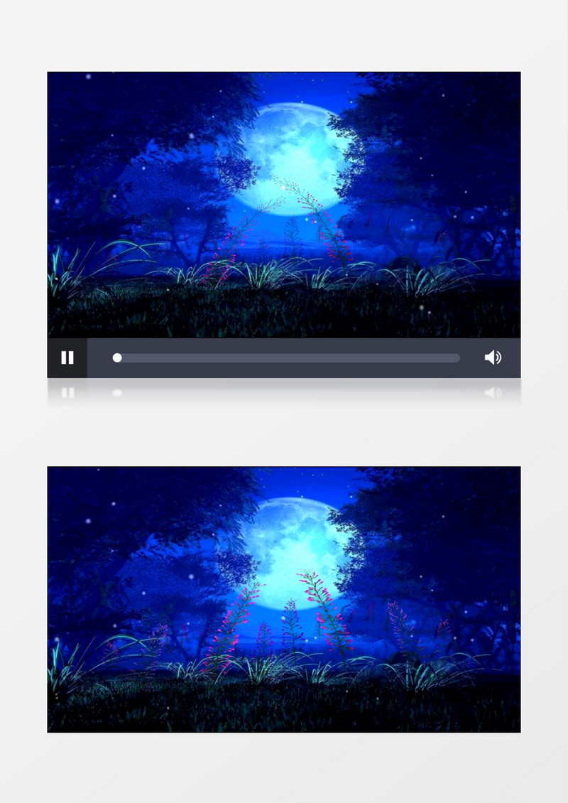 蓝色月亮光影树影花开背景视频