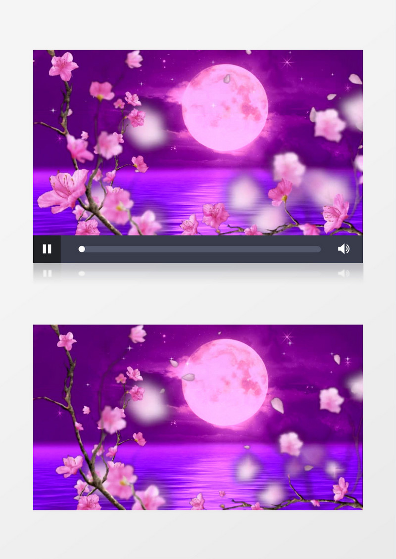 梅花花瓣飘落圆月唯美背景视频