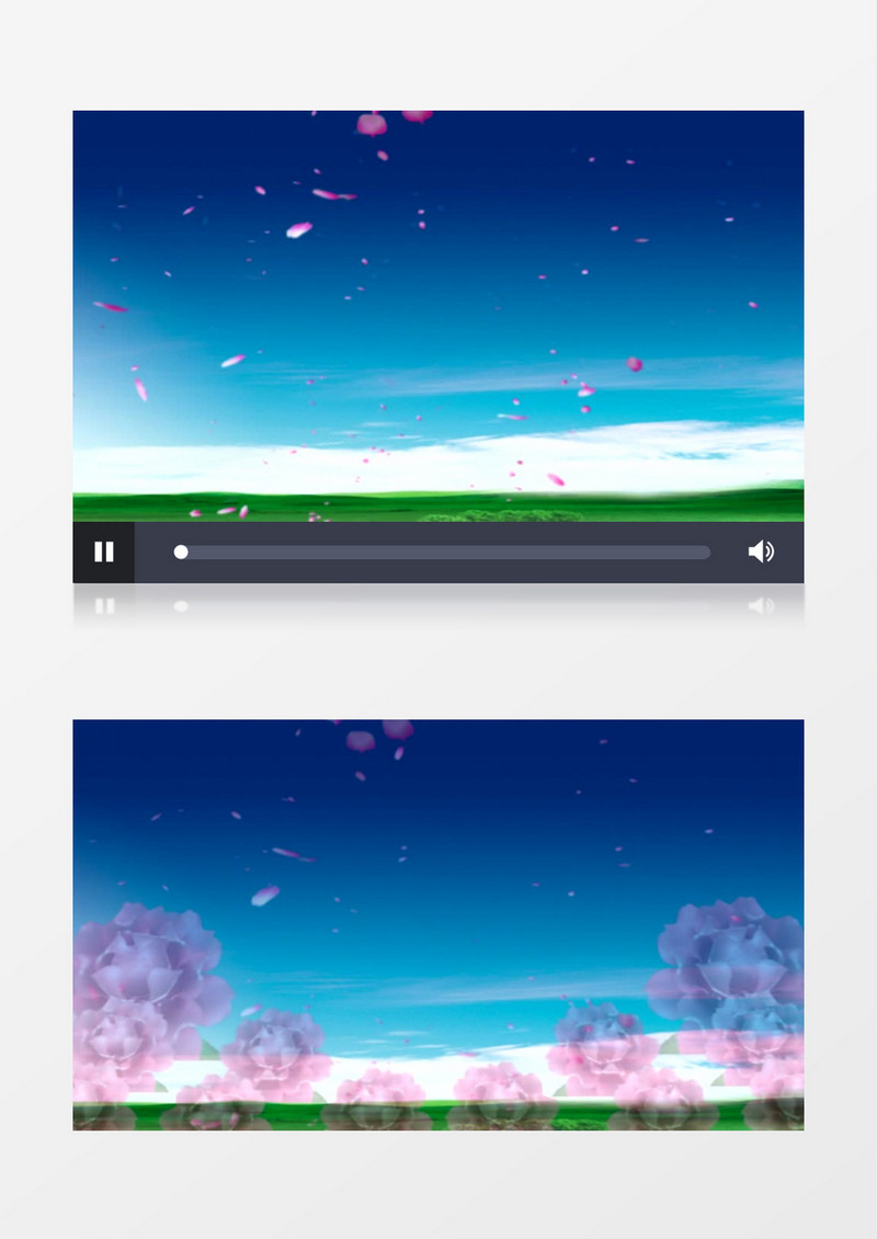 动画动态灯笼牡丹花瓣背景视频素材