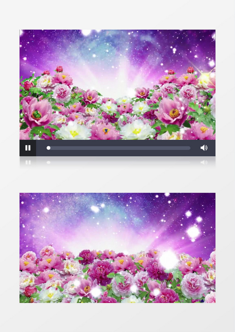 动画动态梦幻牡丹花背景视频素材