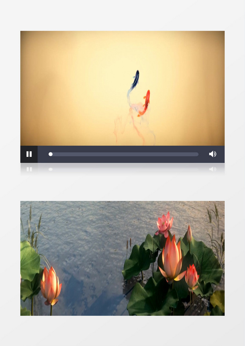 动画动态中国风荷花超写实（无声） 背景视频素材