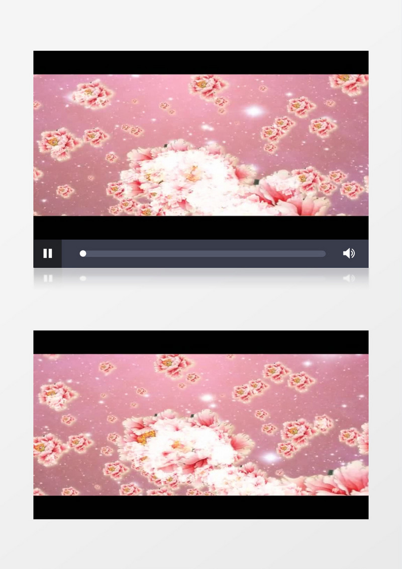 动画动态粉红色牡丹(有音乐)背景视频素材