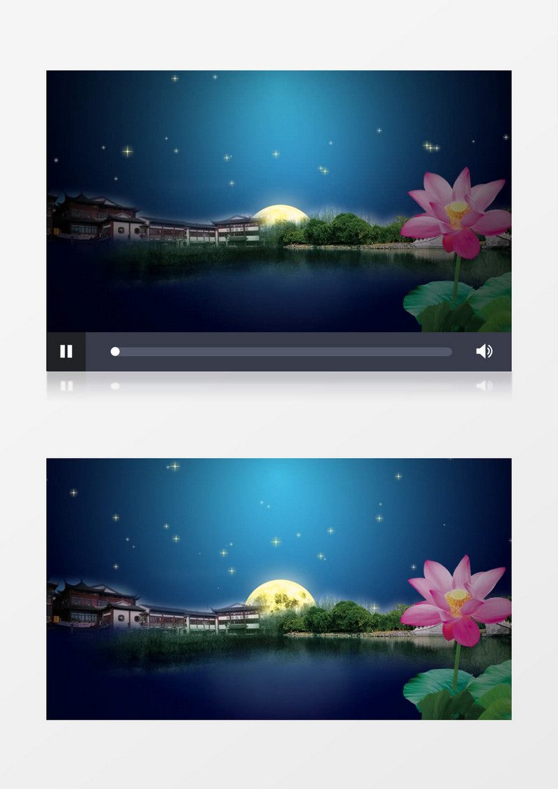 唯美夜空星星荷塘明月背景视频