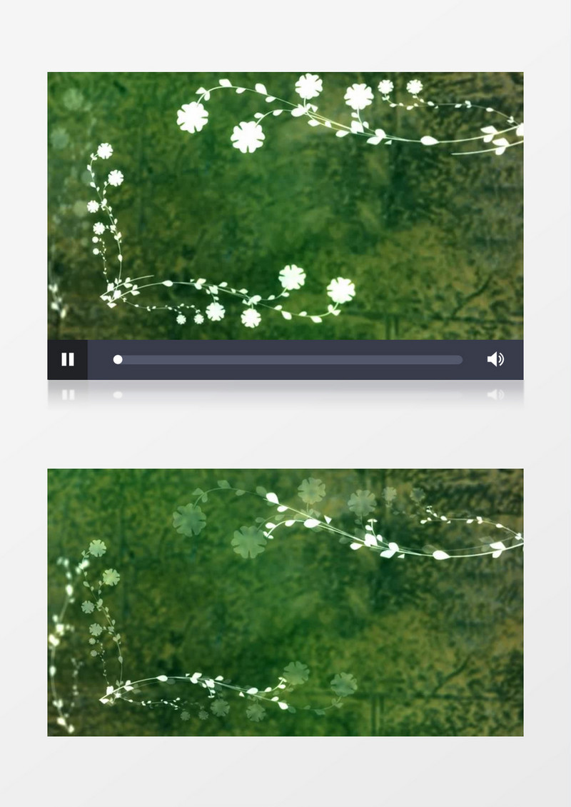 成长盛开的鲜花绿色背景视频素材
