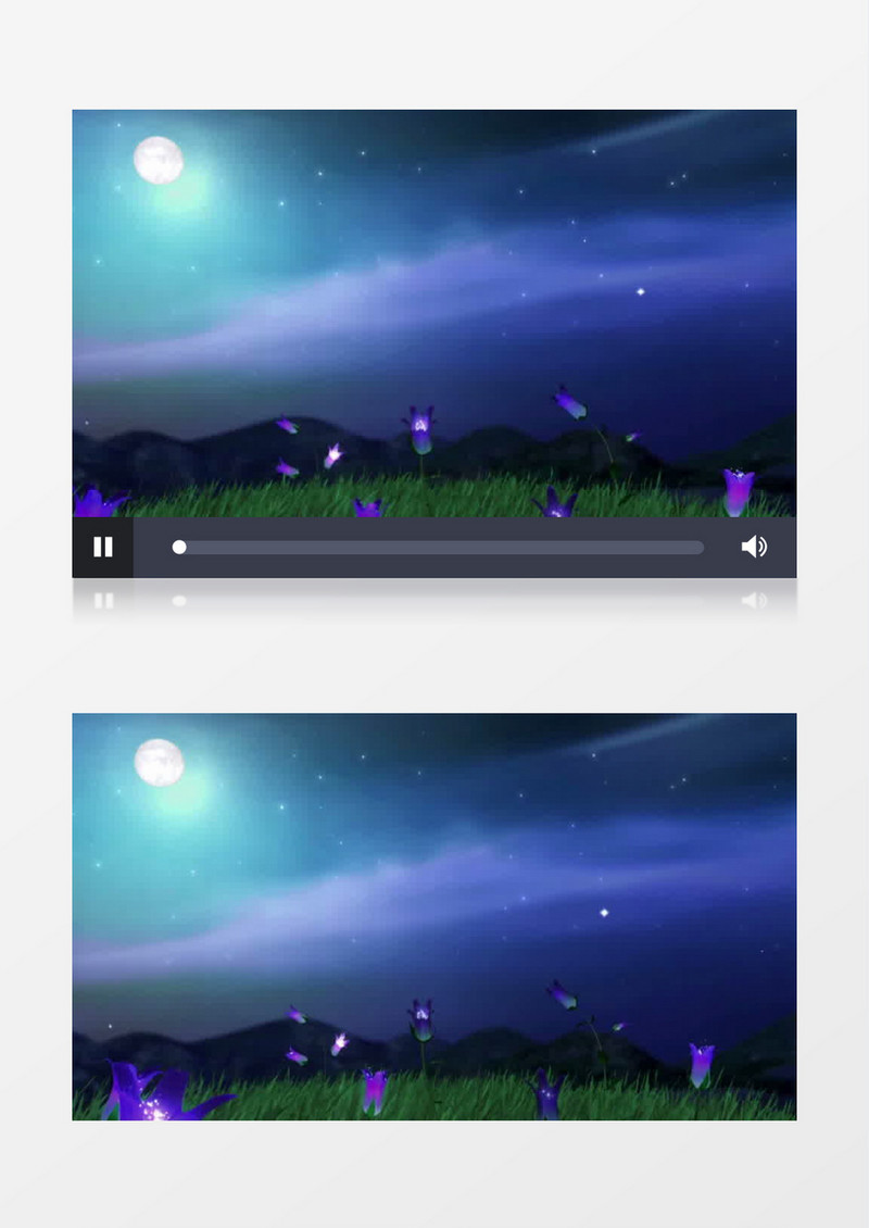 唯美月亮星空夜晚草地荧光花背景视频