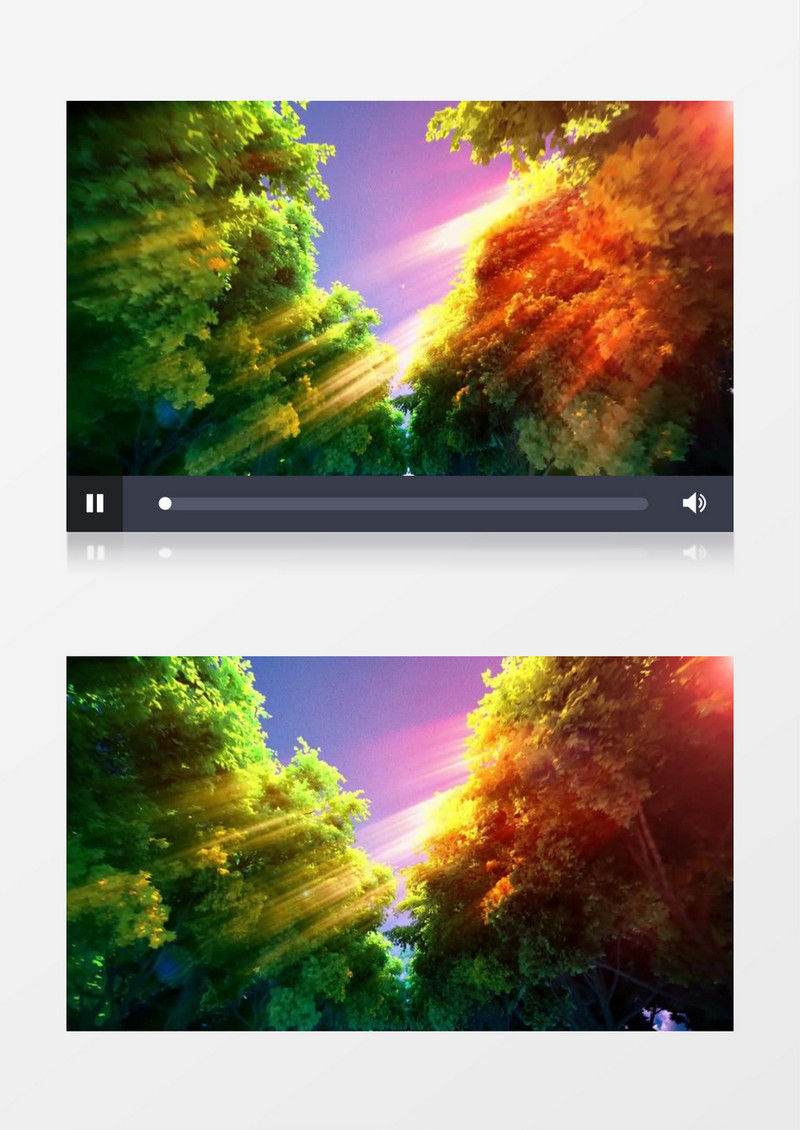 充满希望梦想的森林背景视频素材
