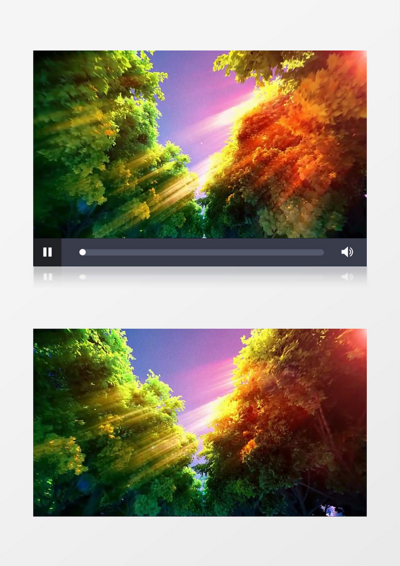 充满希望的森林(音乐)背景视频素材