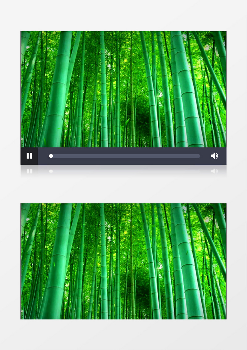 竹林落叶(古典音乐)背景视频素材