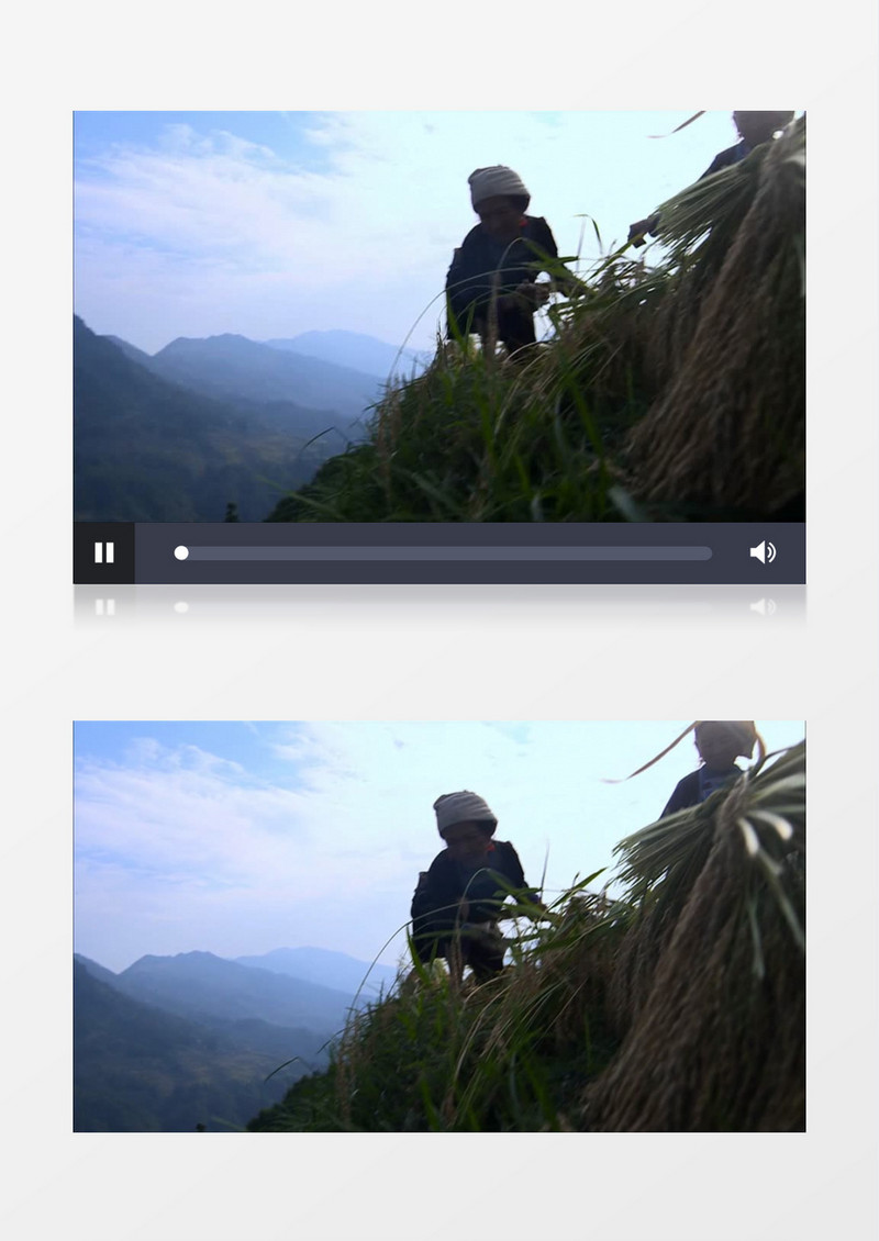 少数农民水稻收割梯田实拍视频素材