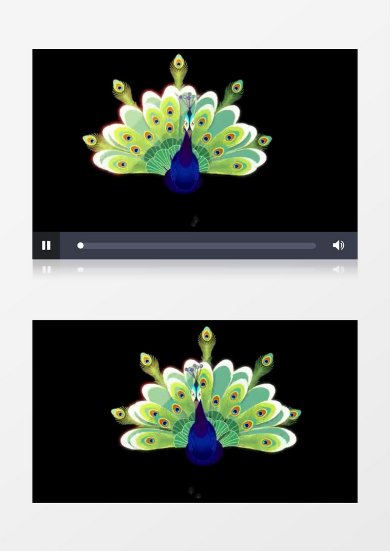 动画动态孔雀舞孔雀开屏背景视频素材