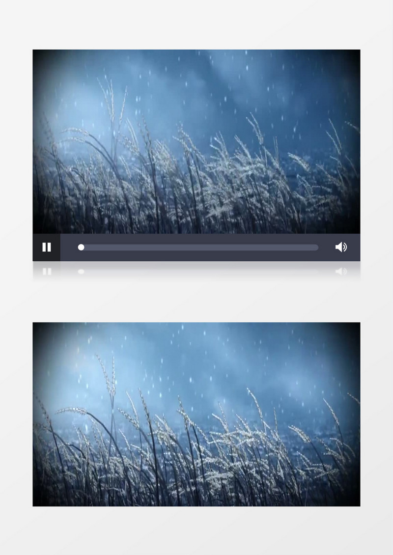 风吹芦苇小雪飘飘背景视频