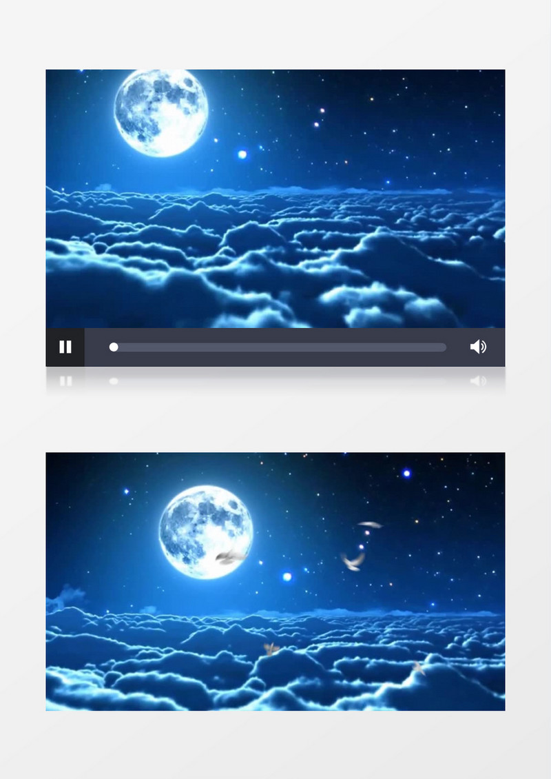 唯美的七夕夜鹊桥相会视频素材