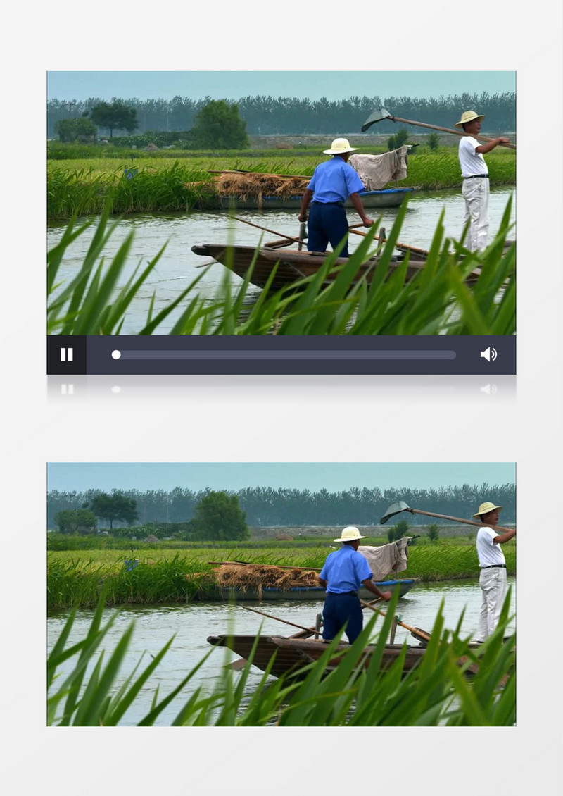 农民划船田间干活实拍视频素材