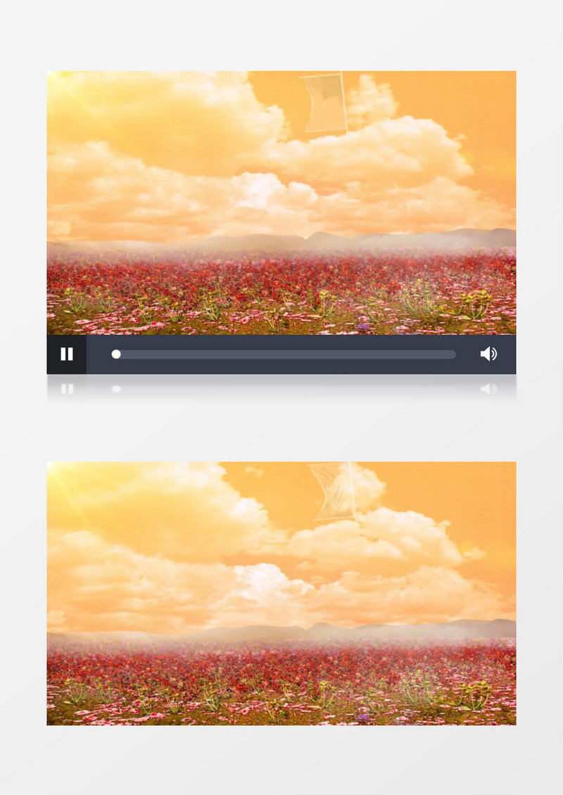美丽的花海美丽的天空视频素材